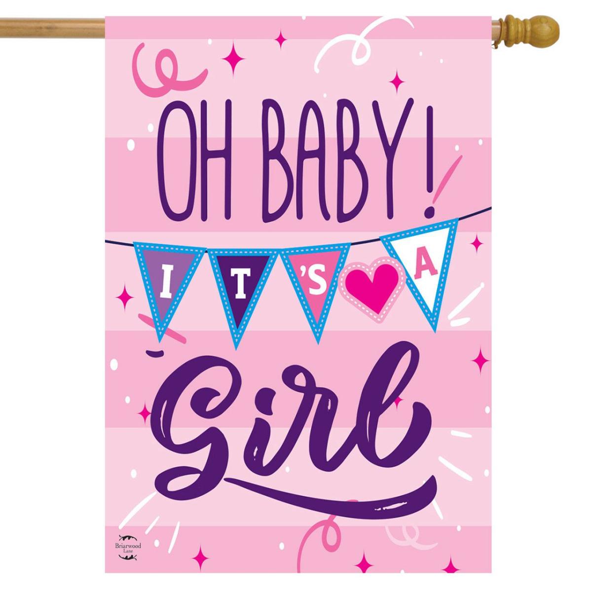 Baby Girl Double-Sided House Flag | Themes Celebration Themes