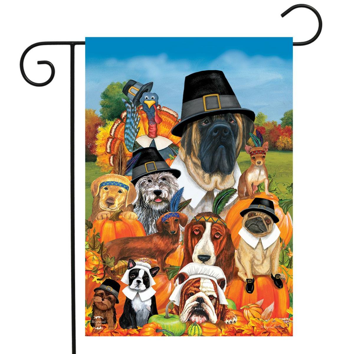 Give Thanks Dogs Thanksgiving Garden Flag | Holidays Animals & Critters Holidays