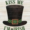 Kiss Me I’m Irish Hat St. Patrick’s Day House Flag | Themes Farmhouse Holidays