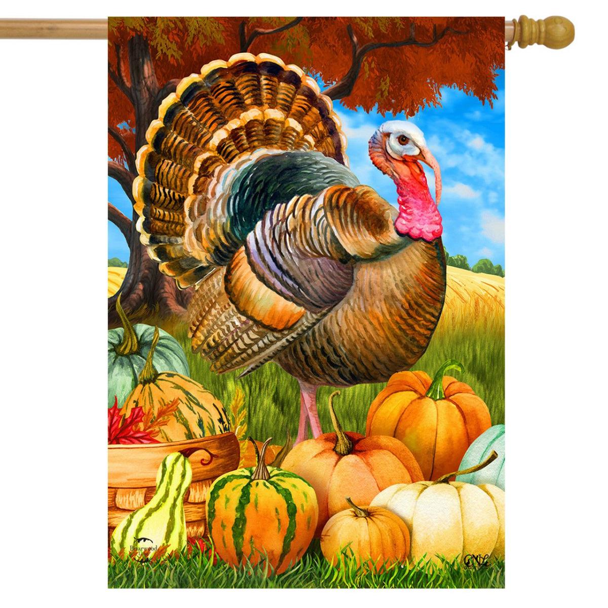 Turkey And Pumpkins Fall House Flag | Seasons Animals & Critters Holidays