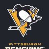 Pittsburgh Penguins NHL Licensed Garden Flag | Sports Garden Flags Sports