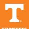 Tennessee Volunteers NCAA Licensed Garden Flag | Sports Garden Flags Sports